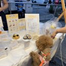 봉쥬르폼피 이미지