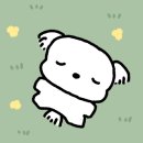 뭉티의 하루 이미지