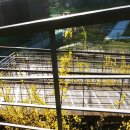 하얀울공원 이미지