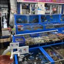 신이수산 이미지