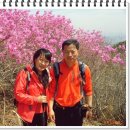 상옥프로폴리스 이미지