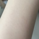 유혜원 립 :: 스노바니 snowbunny 립 풀세트...후기 ( 코코퐁, 마그리트, 아이리크, 크림바니, 애플린...