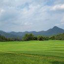 청수골프아카데미 네이버블로그