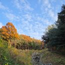 우면산5-13 이미지