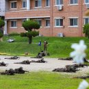 대구 북구 점집 군출신 무당 금하신녀 후기 – 대구 북구 점집 중 믿을만한 곳