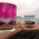 캔들바다 이미지