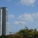 국민건강보험공단 부산사하지사 이미지