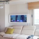 벽걸이수족관