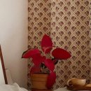 앤빈티지 이미지