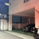 84 | 경성대 맛집 쌀국수 나의 또간집 플러스84 솔직후기