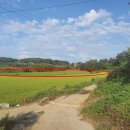 영천리마을회관 이미지