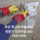 이즈타일 이미지