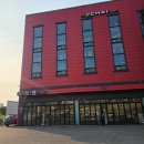 천안 파충류샵 드브센 방문기, 도마뱀 용품 구매 후기