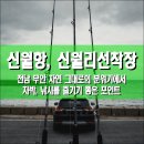 터미널약국 | 신월항, 신월리선착장, 전남 무안군 자연 그대로의 분위기에서 차박, 낚시를 즐기기 좋은 포인트