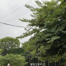 최가네즉석김밥 | 중랑구 원데이클래스 ㅣ 본따블르에서 두바이초코르뱅쿠키 만들고 왔어요!