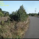 시흥리-2 이미지