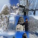 한국국립공원협회