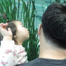 부산해양박물관 이미지