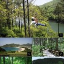 자연생태공원 수목원 야외2 이미지