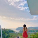 마이꾸따 이미지