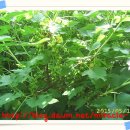 와우농장 이미지