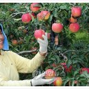 아영면 오산마을 이미지