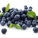 호야 휘트니스 이미지