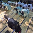 대지의 염원 이미지