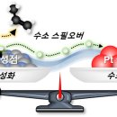자동차촉매박사