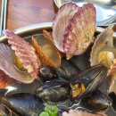 박승광해물손칼국수 이미지