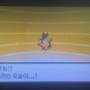 칠보체육관 이미지