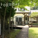 강애산애 이미지