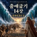 출애굽기 12 장5절~너희 어린 양은 흠 없고 일년 된 수컷으로 하되 양이나 염소 중에서 취하고. 이미지