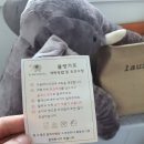 코끼리세탁 이미지