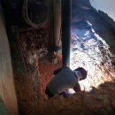 전남체육중학교 이미지