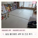 호세탁 | 알집매트 직접 세탁 후기 냄새제거 곰팡이 건조기 사용