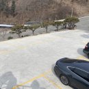 홍시식당 | 홍천 비발디파크 맛집 애견동반식당 홍시 파스타 후기