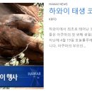 [ 하와이 현지뉴스 :: "KBFD" (한인TV) ] 2024년 4월 18일까지 - 와이키키 범죄율 감소 이미지