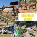 [일본여행] 이즈 샤보텐 동물원 2탄 :: 기린 먹이주기 체험, 몽키 아일랜드 보트 투어 후기