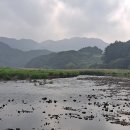 수주강변길 이미지