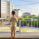 에브라임하우스 이미지