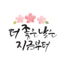 인생은 61세부터 이미지