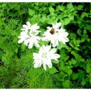 노한도 농장 이미지