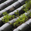 경천대펜션 이미지