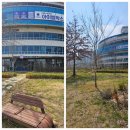 [빛가람동 태국음식점] 친츠 나주혁신점 코코넛 커리 크랩 앤 쉬림프 후기