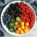 시라솔루션 이미지