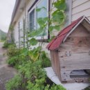 산성펜션텔 이미지