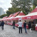 대구떡볶이
