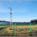 제주축산농협 축산물공판장 이미지