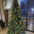 1912 | 군산 동흥남동 느좋 느좋 감성 카페 팔마재1912 후기